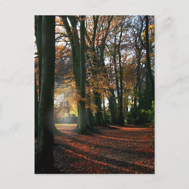 Cartão Postal Cartaz Cardíaco Profundo (Frente)