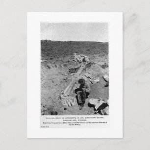 Cartão Postal Cartaz cartaz do diplodocumental dinossauro