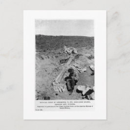 Cartão Postal Cartaz cartaz do diplodocumental dinossauro