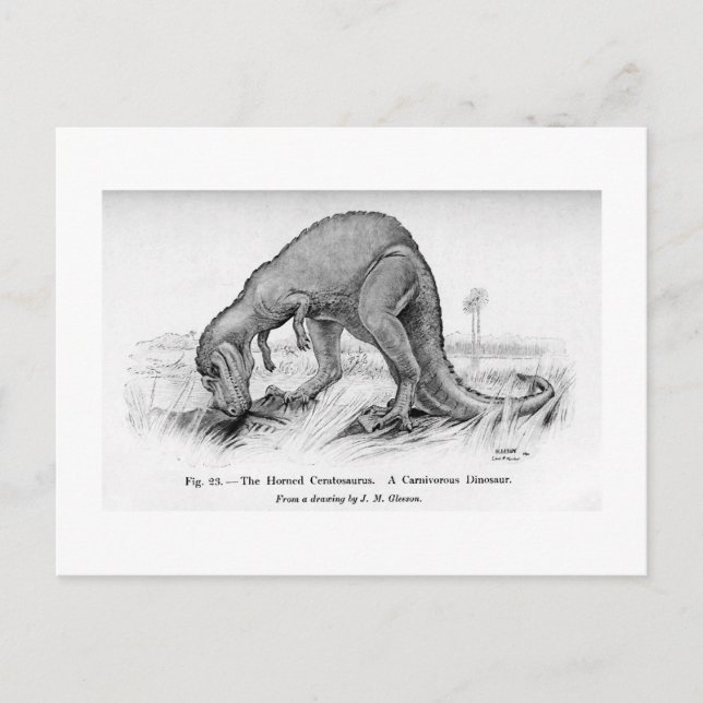 Cartão Postal Cartaz ceratossauro (Frente)