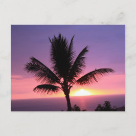 Cartão Postal Cartaz Colorido Havaiano e Palm