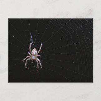 Cartão Postal Cartaz com aranha - cruz