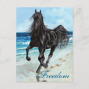Cartão Postal Cartaz da Liberdade do Cavalo Árabe do Back Stall