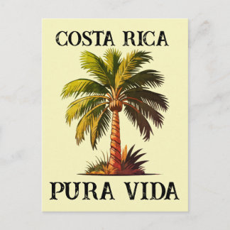 Cartão Postal cartaz da palmeira pura vida Costa Rica