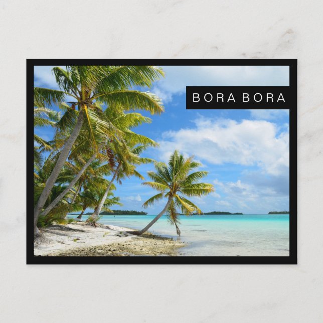 Cartão Postal Cartaz da praia de Palm no Pacífico (Frente)