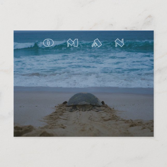 Cartão Postal Cartaz da tartaruga Omã (Frente)