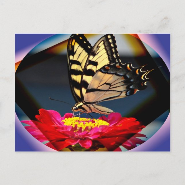 Cartão Postal Cartaz de arte borboleta (Frente)