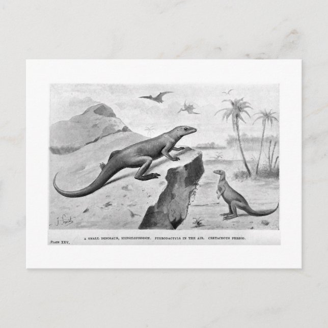 Cartão Postal Cartaz de arte Hypslophodon (Frente)