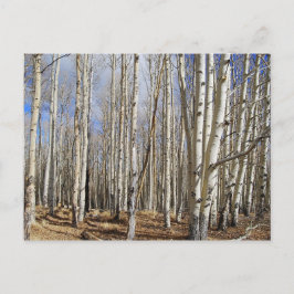 Cartão Postal Cartaz de Aspen em inverno