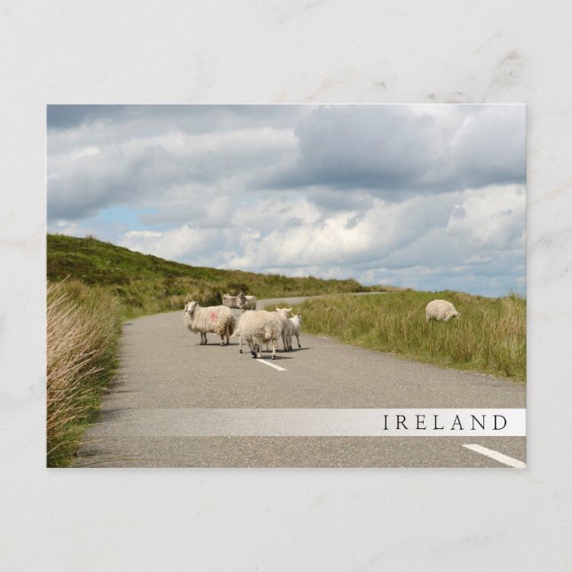 Cartão Postal Cartaz de bar na Irlanda (Frente)