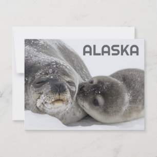 Cartão Postal Cartaz de bebê e mãe do Alaska