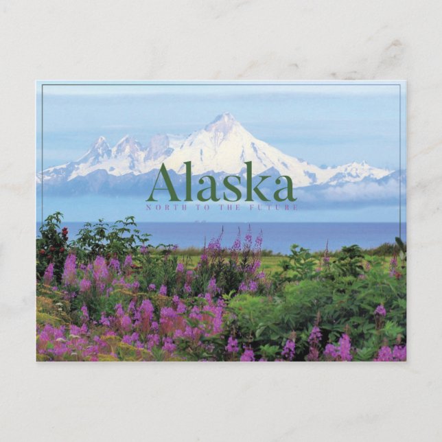 Cartão Postal Cartaz de beleza natural do Alaska (Frente)