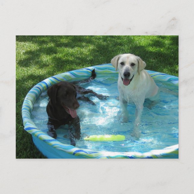 Cartão Postal Cartaz de Boys de Verão (Frente)