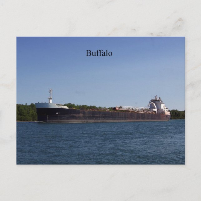 Cartão Postal Cartaz de búfalo (Frente)