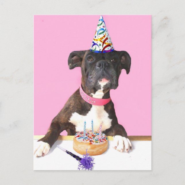 Cartão Postal Cartaz de cachorro do Boxer Feliz Aniversário (Frente)
