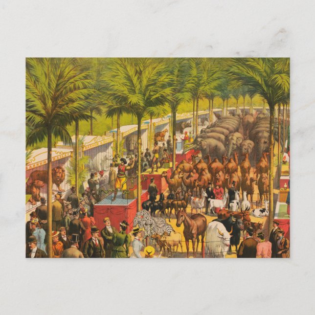 Cartão Postal Cartaz de Circo Antigo de Animais e Artistas (Frente)