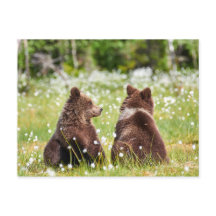 Cartaz de dois amigos