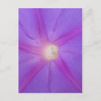 Cartão Postal Cartaz de flores roxas