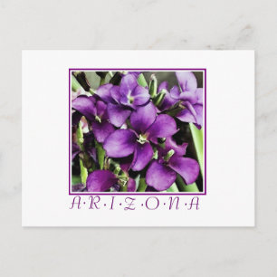 Cartão Postal Cartaz de flores roxas arizonas