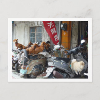 Cartão Postal Cartaz de gangue de botas