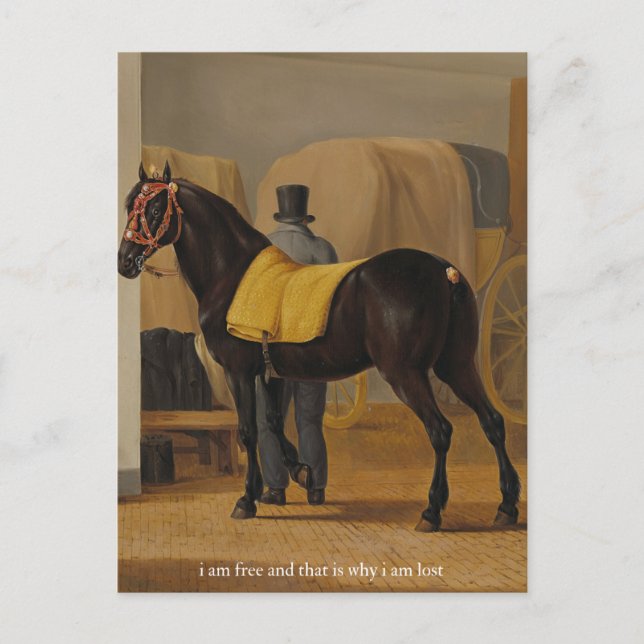 Cartão Postal cartaz de livre e perdido (Frente)