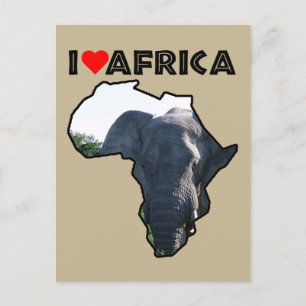 Cartão Postal Cartaz de orelhas de elefante no coração da África