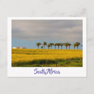 Cartão Postal Cartaz de Paisagem da Canola Fields South Africa