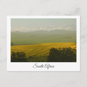 Cartão Postal Cartaz de Paisagem da Canola Fields South Africa