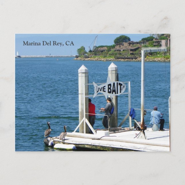 Cartão Postal Cartaz de Pesca Marina Del Rey! (Frente)