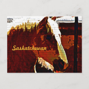 Cartão Postal Cartaz De Saskatchewan,Sorrel Horse No Perfil