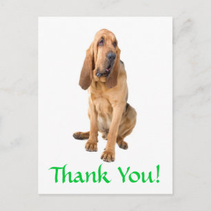 Cartão Postal Cartaz de Saudação de Cachorro de Sangue