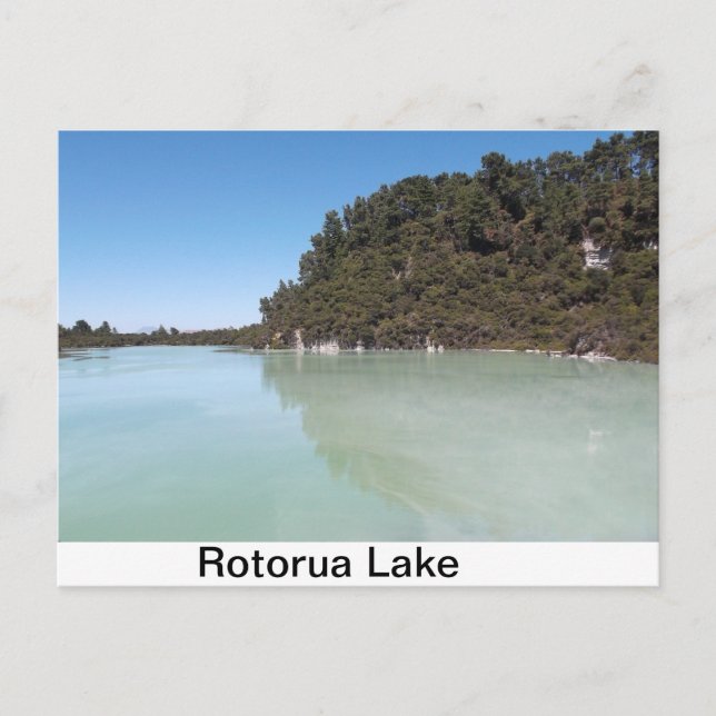 Cartão Postal Cartaz de um belo lago em Rotorua (Frente)