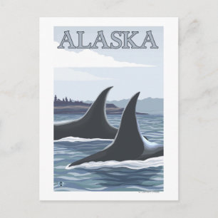 Cartão Postal Cartaz de Viagem Antigo Orcas #1