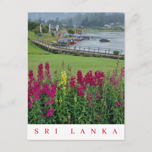 Cartão Postal Cartaz de vista de Sri Lanka Lake Gregory (Frente)