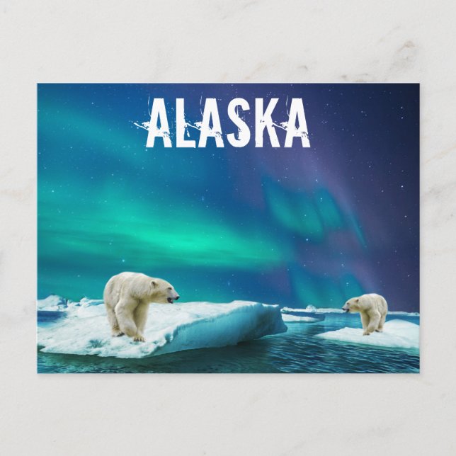 Cartão Postal Cartaz do Alasca com Ursos Polares Aurora Borealis (Frente)