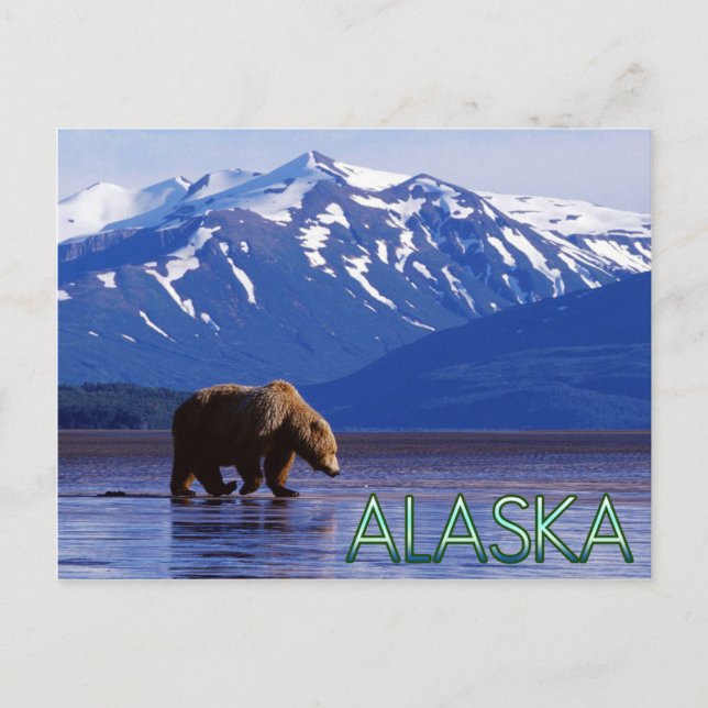 Cartão Postal Cartaz do Alaska (Frente)