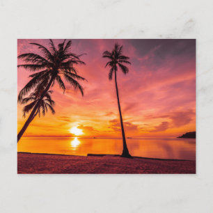 Cartão Postal Cartaz do Beach Sunset