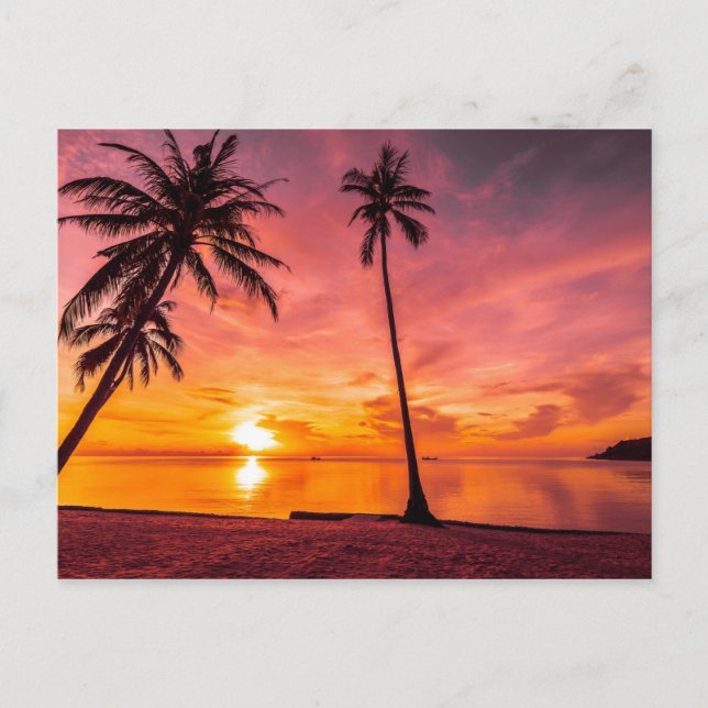 Cartão Postal Cartaz do Beach Sunset (Frente)