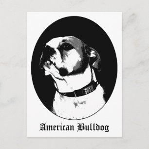 Cartão Postal Cartaz do buldogue americano