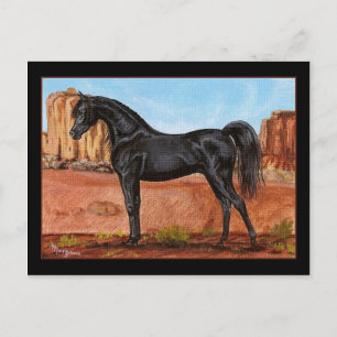 Cartão Postal Cartaz do cavalo árabe Canyon Wonder