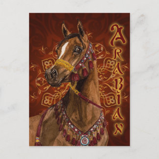Cartão Postal Cartaz do cavalo egípcio Dream Arabian