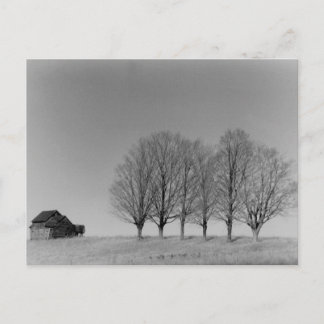 Cartão Postal Cartaz do celeiro e árvores