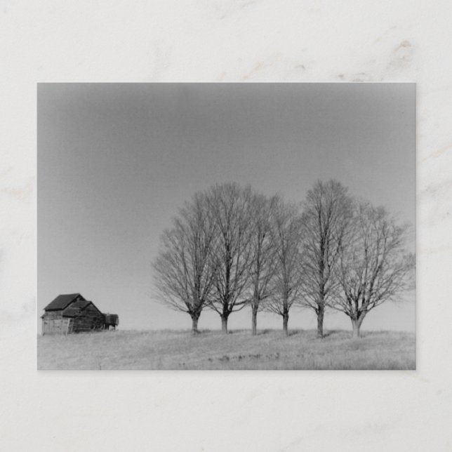 Cartão Postal Cartaz do celeiro e árvores (Frente)