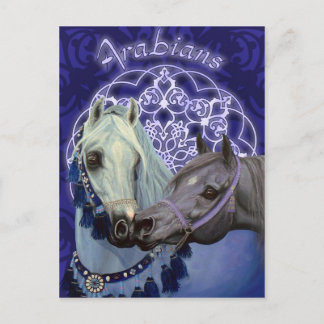 Cartão Postal Cartaz do Desert Jewels, cavalos árabes