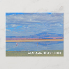 Cartão Postal Cartaz do Deserto de Atacama, Flamingo Chile