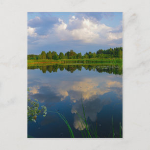 Cartão Postal Cartaz do Lago de Paisagem Natural Belarus