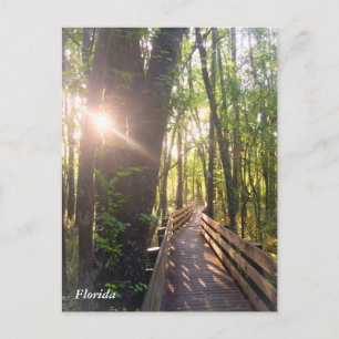 Cartão Postal Cartaz do nascer da manhã da Flórida