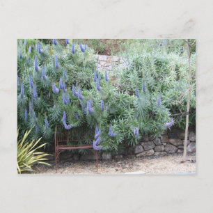 Cartão Postal Cartaz do Orgulho da Madeira