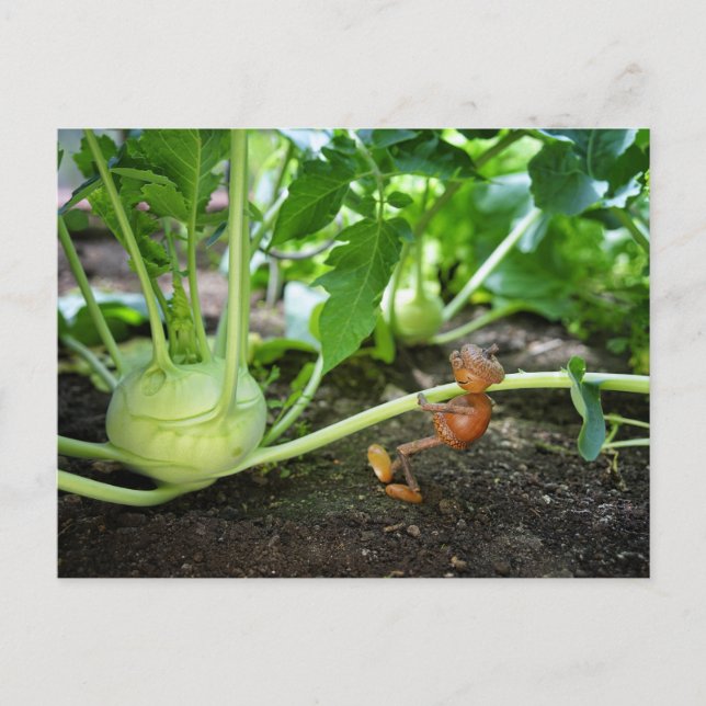 Cartão Postal Cartaz do primavera Acorn elf (Frente)