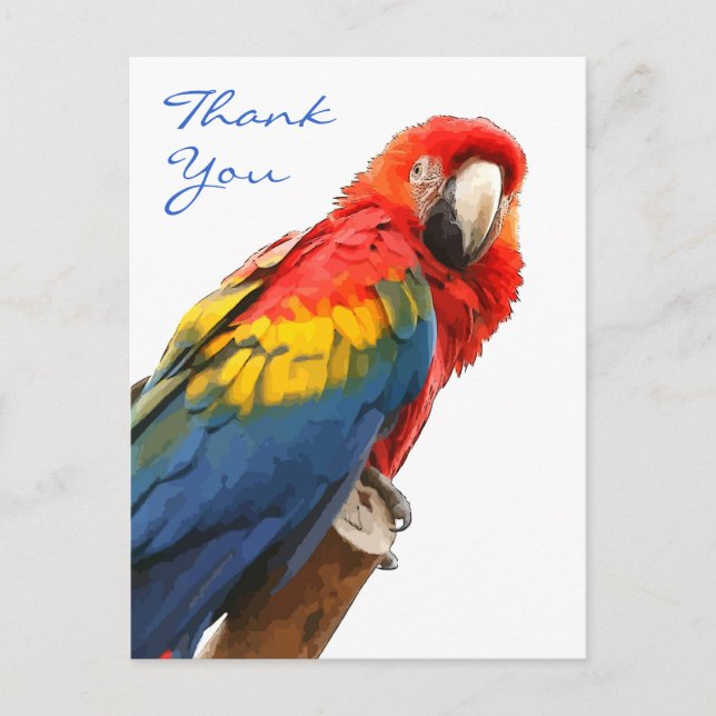 Cartão Postal Cartaz do Scarlet Macaw Obrigado (Frente)